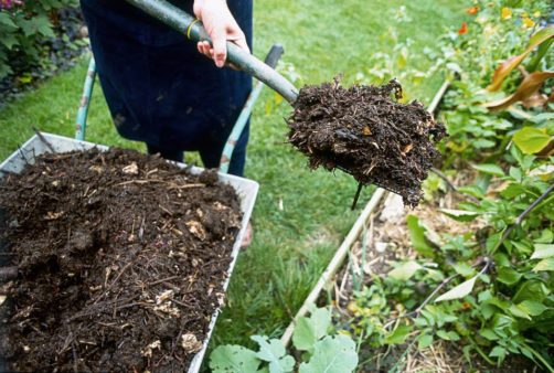 Mulching Tips and Tricks | Professional Landscaping Company in Dallas, TX | Southern Botanical