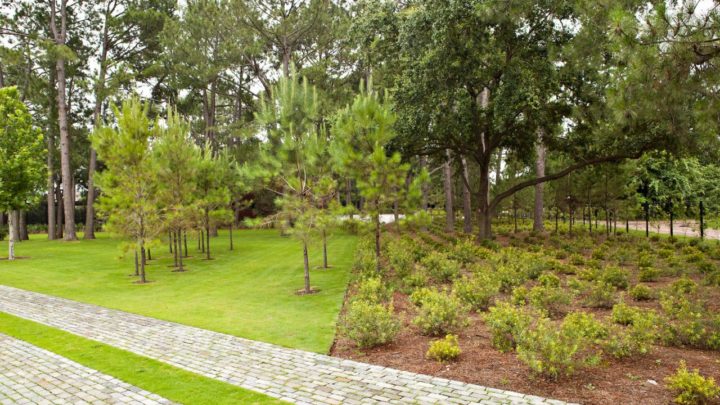 What Landscape Maintenance Services Can be Done in Winter? | Dallas Landscaping Company