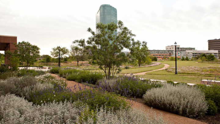 Your Winter Landscape Maintenance Guide | Dallas Landscaping Services