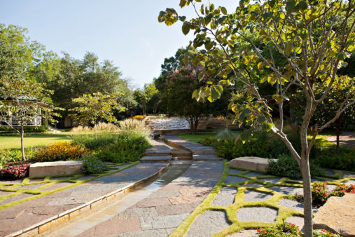 Professional Landscape Design: Why is it Important? | Dallas Landscaping Services