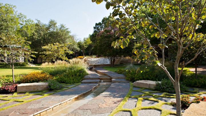 Professional Landscape Design: Why is it Important? | Dallas Landscaping Services