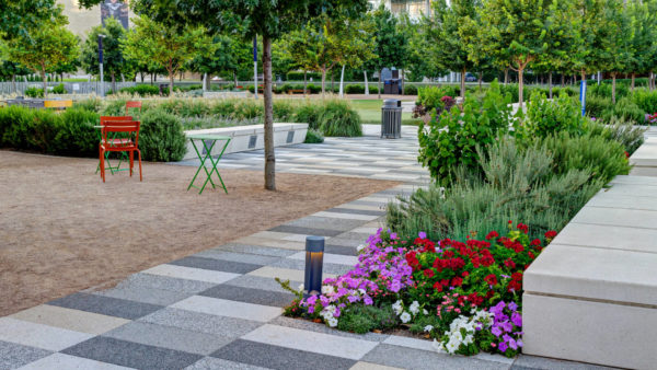 Summer Landscape Care | Dallas Landscaping Services Company
