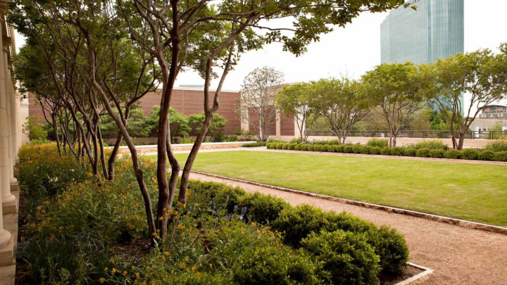 The Benefits of Commercial Tree Trimming | Dallas Landscaping Services Company