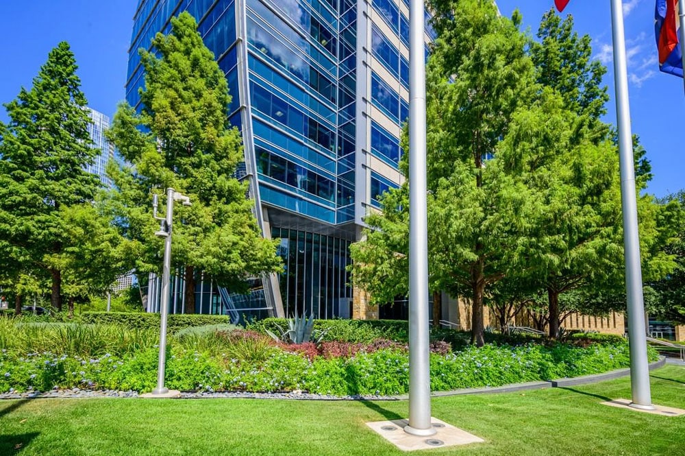 Well maintained & properly trimmed trees of a corporate landscape in Dallas, Texas. 