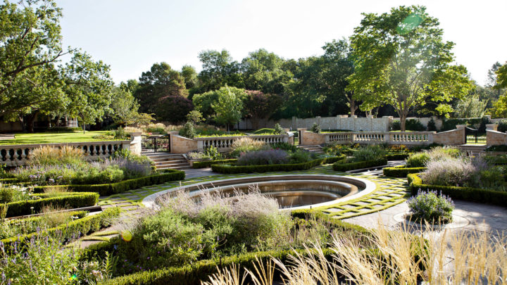 Mulching in Summer: Choosing the Best Type | Dallas Landscaping Services Company