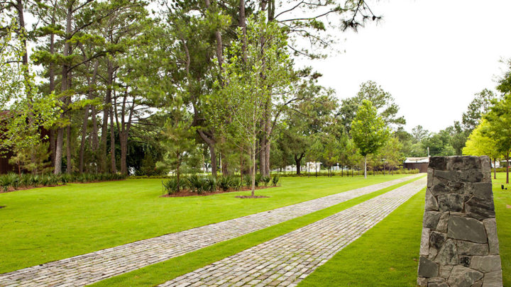 The Benefits of Turf Aeration | Dallas Landscaping Services Company