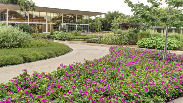 How Does Professional Landscape Design Affect Your Commercial Property? | Dallas Landscaping Services Company