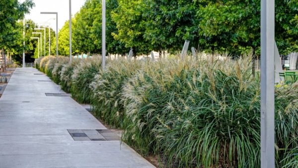 Preparing Your Commercial Landscaping for Fall and Winter  | Dallas Landscaping Services Company