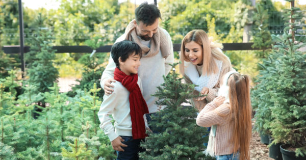 Tips for Trimming, Choosing, and Caring for Your Christmas Tree | Dallas Landscaping Services Company