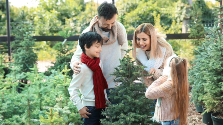 Tips for Trimming, Choosing, and Caring for Your Christmas Tree | Dallas Landscaping Services Company