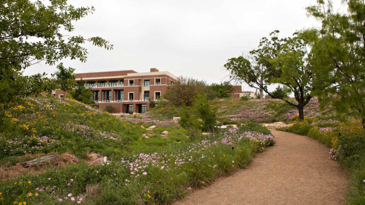 Southern Botanical Can Help Prepare Your Landscape for Spring