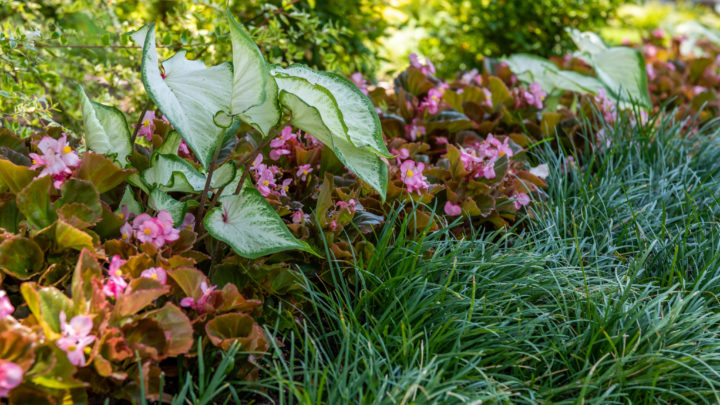 Popular Landscaping Services for the Fall Season