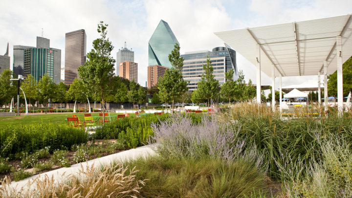 Make Your Commercial Landscape Fit the Season with Fall Colors