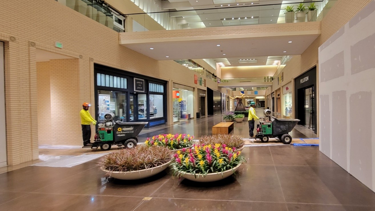 North Park Mall Wins NALP Award of Excellence for Tree Care - Southern  Botanical