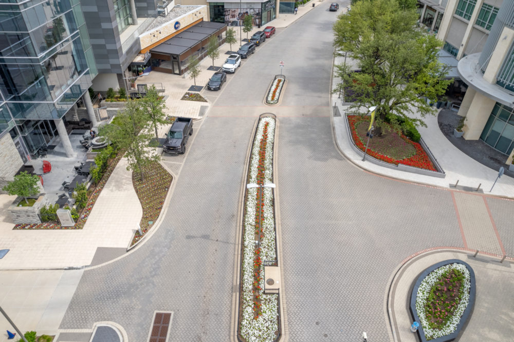 an aerial view of a city street with a fountain | Southern Botanical