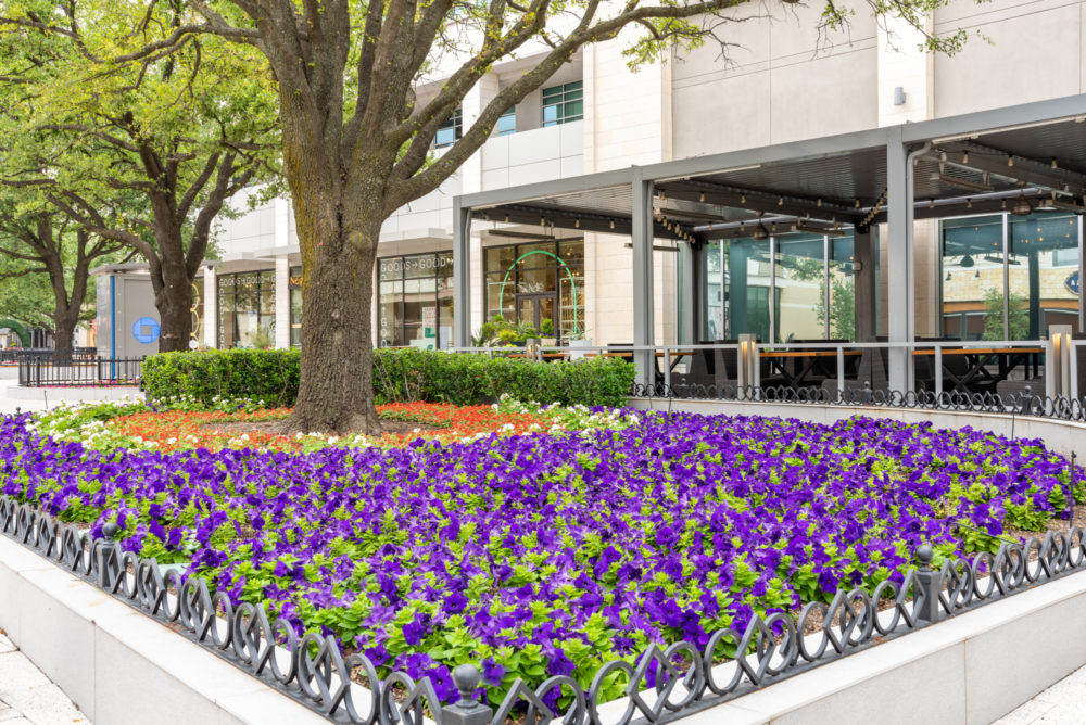 a flower bed in front of a building | Southern Botanical