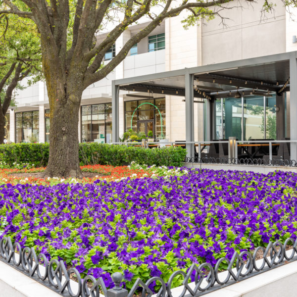 Legacy West | Commercial Landscape | Southern Botanical