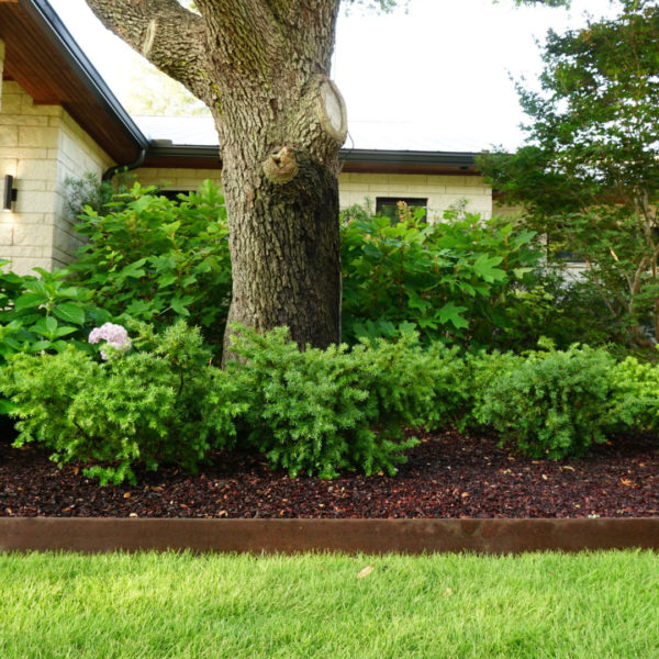 Dallas Fort Worth Landscaping Services | Southern Botanical | Residential Landscape Maintenance