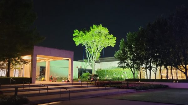 a building lit up at night with a tree in the background | Southern Botanical