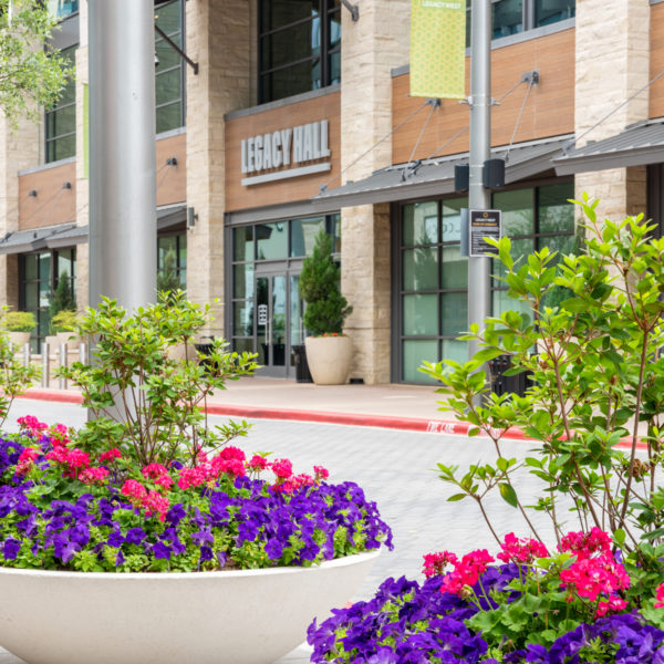 Legacy West | Commercial Landscape | Southern Botanical