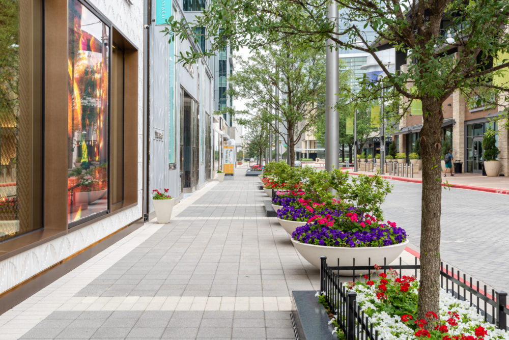 a sidewalk lined with potted trees and flowers | Southern Botanical