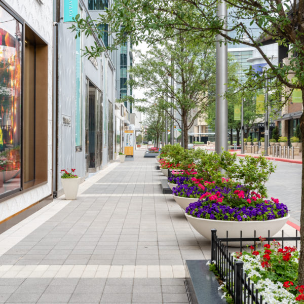 Legacy West | Commercial Landscape | Southern Botanical