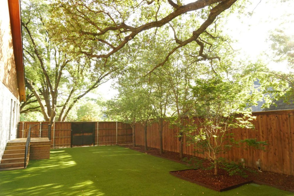 a backyard with a fence and a small tree | Southern Botanical