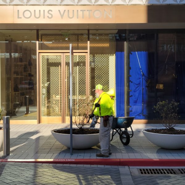 Legacy West | Commercial Landscape | Southern Botanical