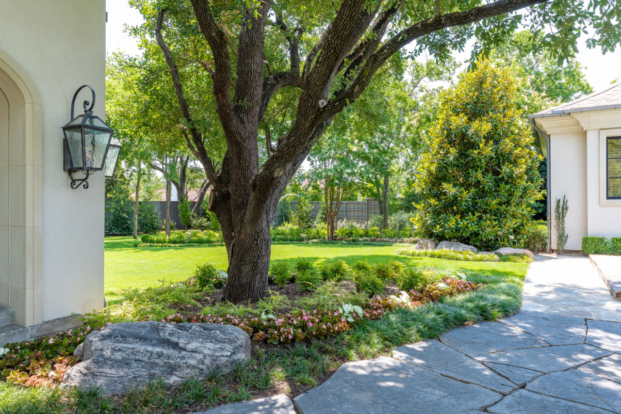 North Dallas Residence | Residential Landscape | Southern Botanical