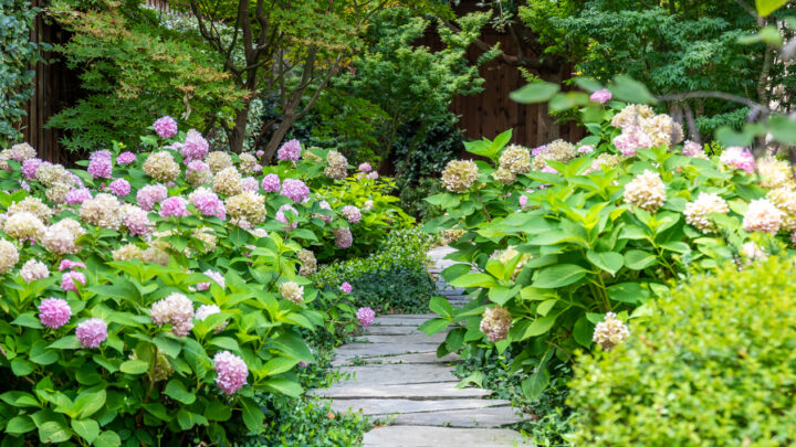 Strait Lane Residence | Residential Landscape | Southern Botanical