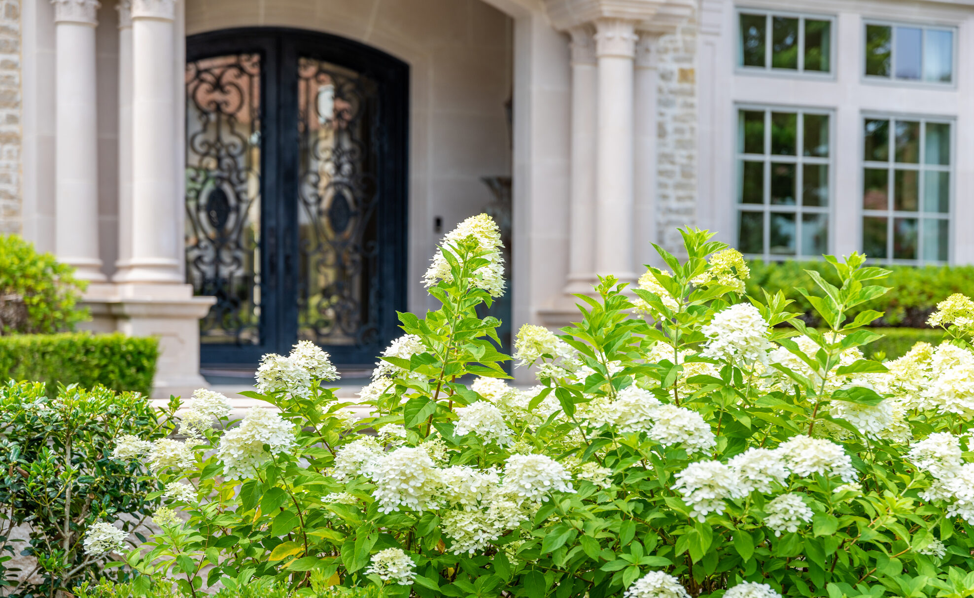 Strait Lane Residence | Residential Landscape | Southern Botanical