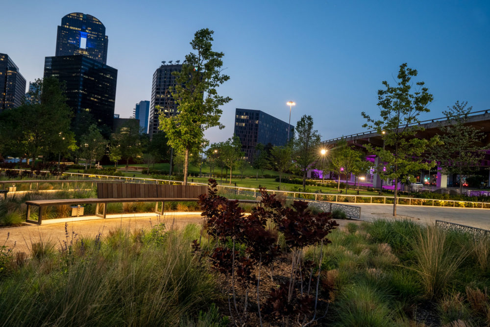 a park with benches and lights in the middle of it | Southern Botanical