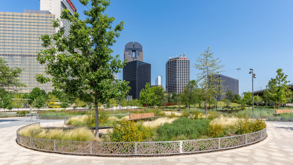 a park with benches and trees in front of tall buildings | Southern Botanical