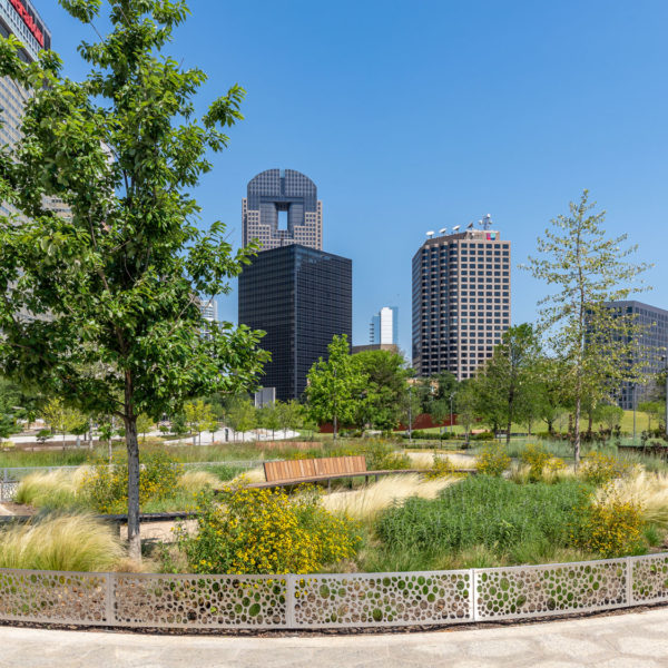 Carpenter Park Landscape - Southern Botanical