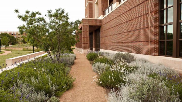 Fall is a Great Time to Plant. Here's Why.