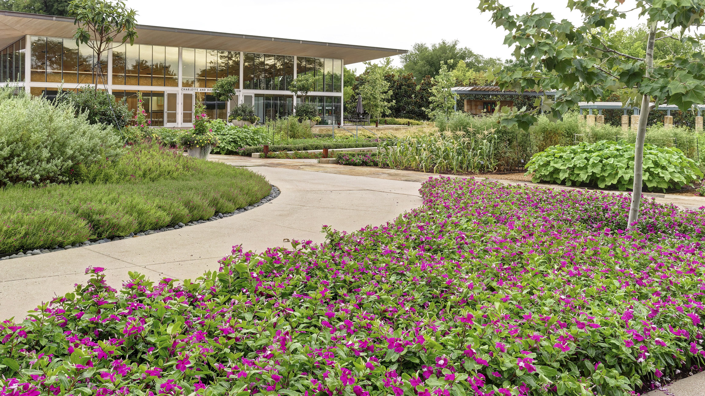 Choosing a Commercial Landscaping Provider for the Upcoming Year - Some Important Considerations