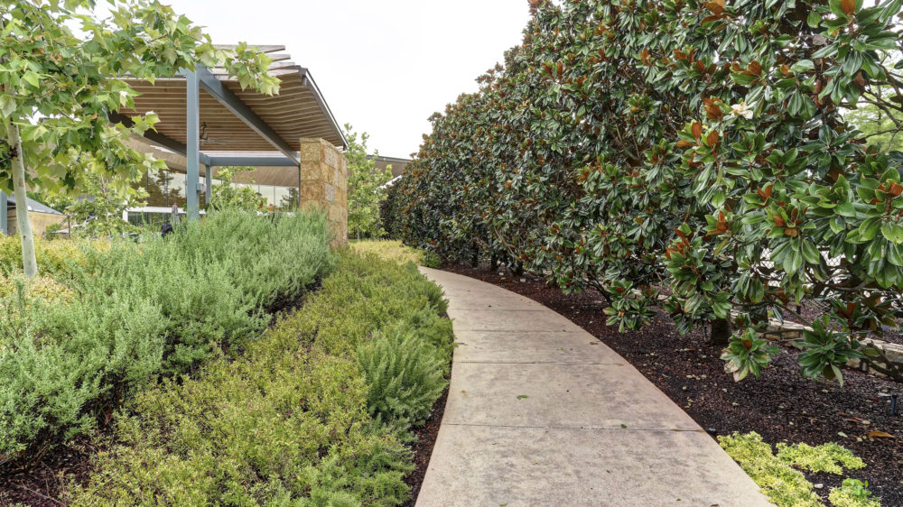 Enhance Your Commercial Landscape with these Top Services