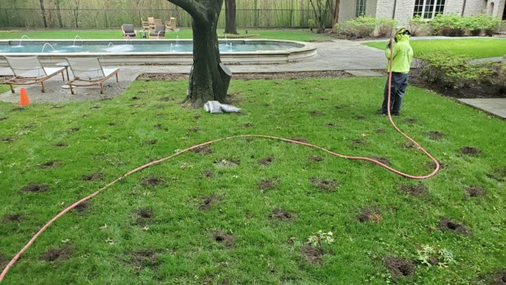 Vertical Mulching | Southern Botanical