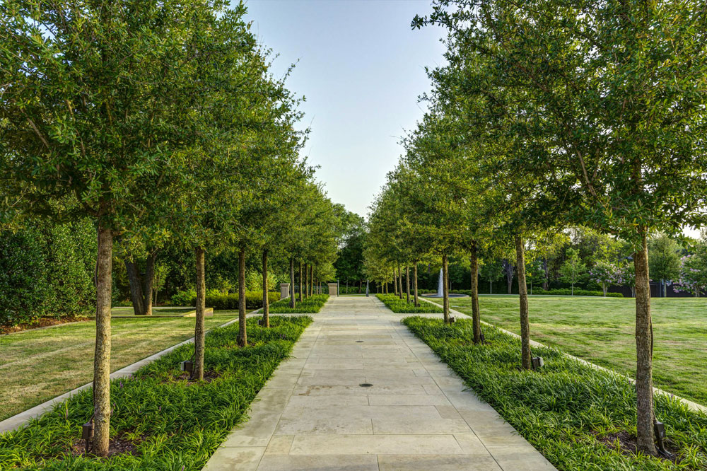 a walkway lined with trees in a park | Southern Botanical
