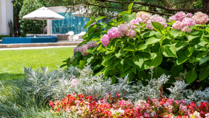 Environmental Benefits of Healthy Landscapes