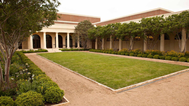 Keeping Your Shrubs Healthy Through Pruning