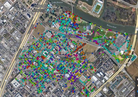 Tree Inventory & Consultation | Southern Botanical