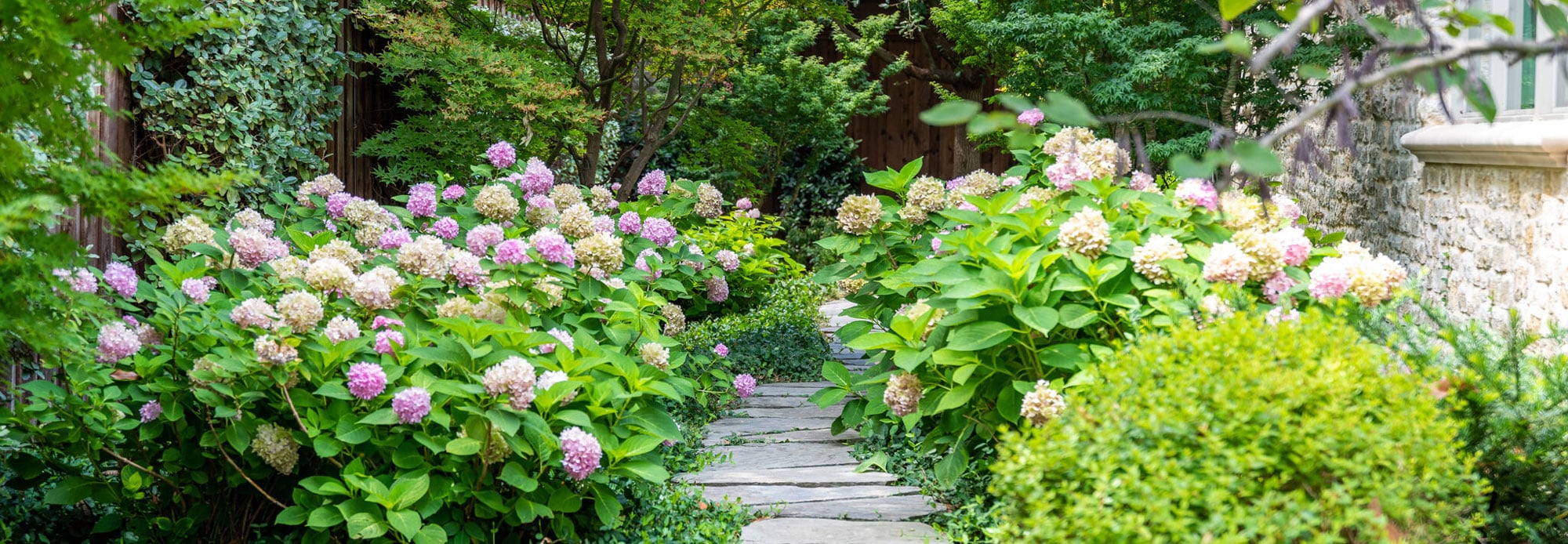 a stone path surrounded by lush green plants | Southern Botanical
