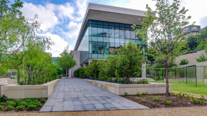 Top Benefits of Using Mulch on Your Commercial Property