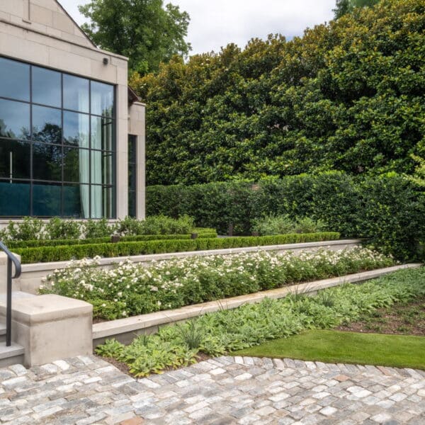 Modern landscape by Southern Botanical in Dallas Texas