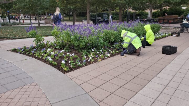 Autumn Planting is Key to Landscape Enhancements