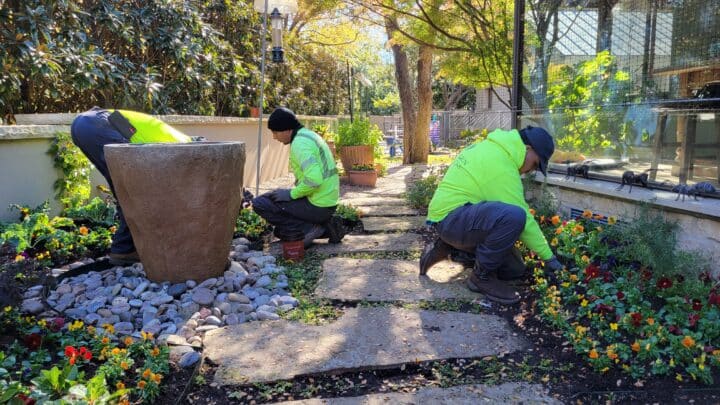 Fall Color Rotation and Cleanup