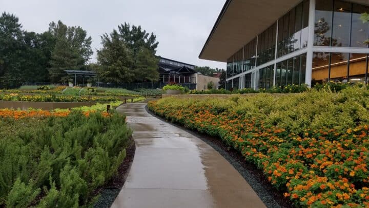 Four Essential Tips to Achieving a Beautiful Commercial Landscape