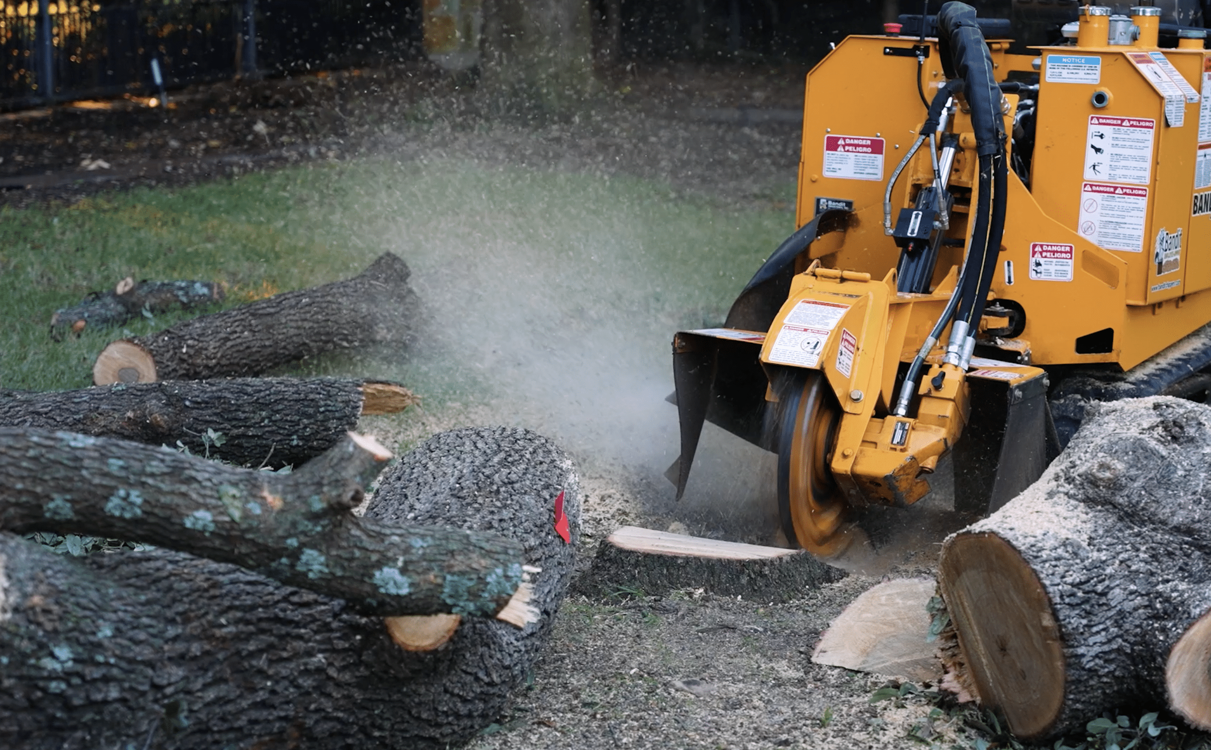 Stump Grinding | Tree Service | Southern Botanical