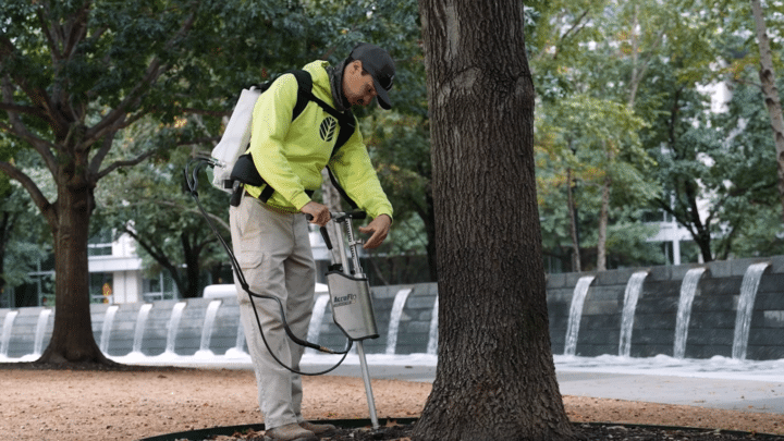 Tree Health Care by Certified Arborists at Southern Botanical